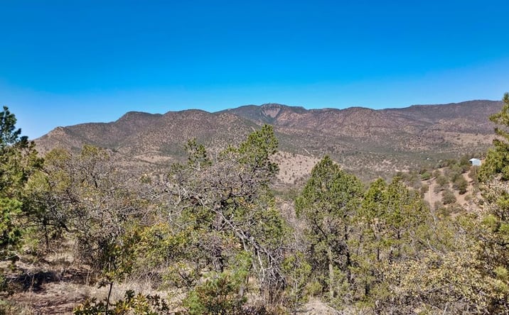 Pictures of Land property located at 217 Squaw Valley Trail, Fort Davis, TX 79734 for sales - image #1
