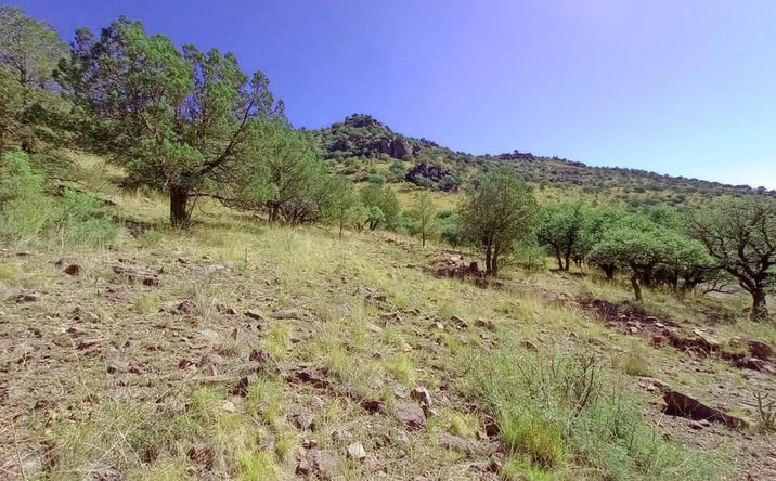 Pictures of Land property located at 519 Squaw Valley Trail, Fort Davis, TX 79734 for sales - image #1