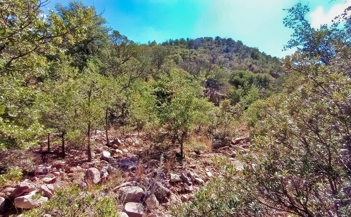 Pictures of Land property located at 311 Colleen Canyon Trail, Fort Davis, TX 79734 for sales - image #1