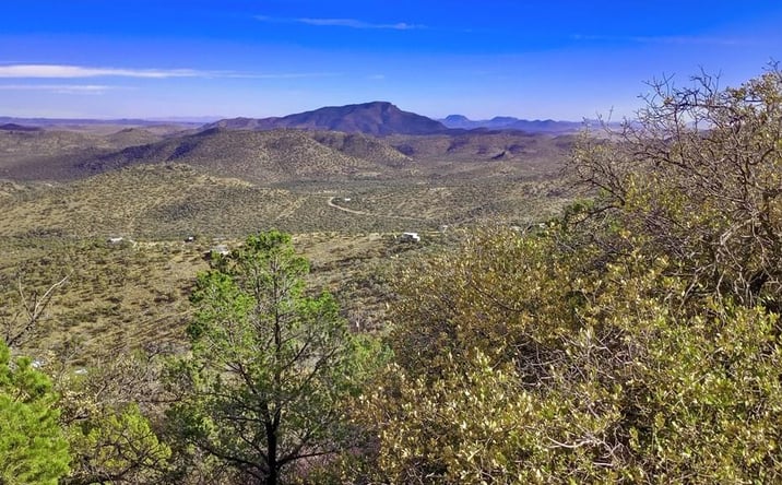 Pictures of Land, Multifamily property located at 308 Low Meadow Trail, Fort Davis, TX 79734 for sales - image #1