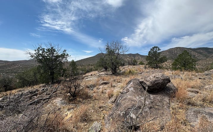 Pictures of Land property located at 103 Ponderosa Crest Trail, Fort Davis, TX 79734 for sales - image #1