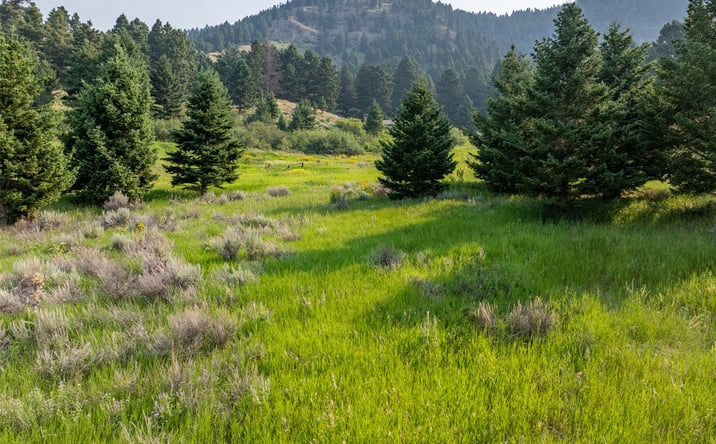 Pictures of Land property located at 15426 Horse Creek Road, Bozeman, MT 59715 for sales - image #1