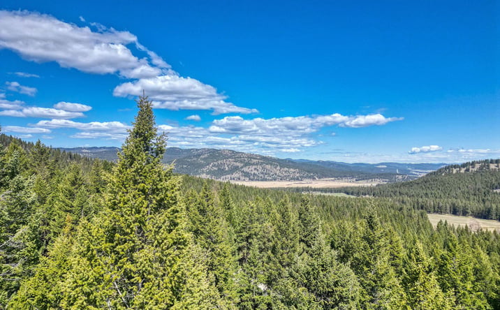 Pictures of Land property located at 2263 Truman Heights, Kila, MT 59920 for sales - image #1