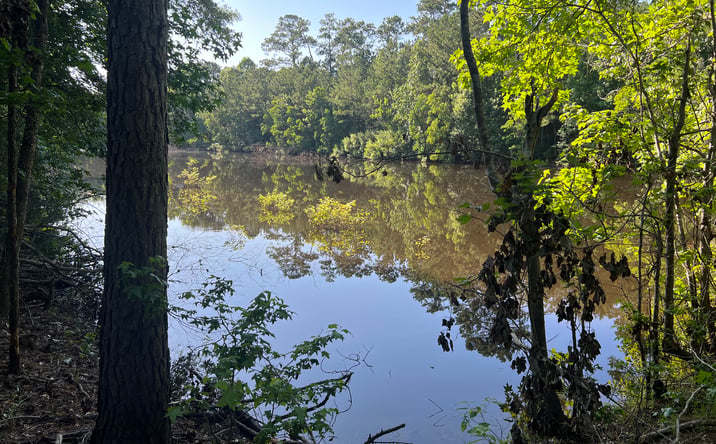 Pictures of Land property located at 0 Cravens Camp Rd, Silsbee, TX 77656 for sales - image #1