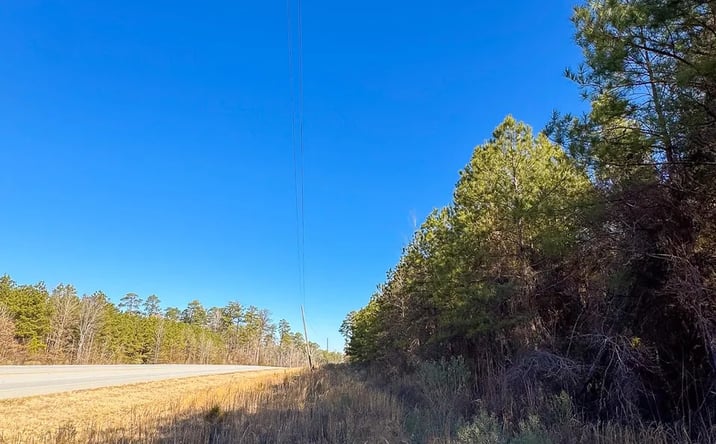 Pictures of Land property located at Wilcoxen Forest, Hamburg, AR 71646 for sales - image #1
