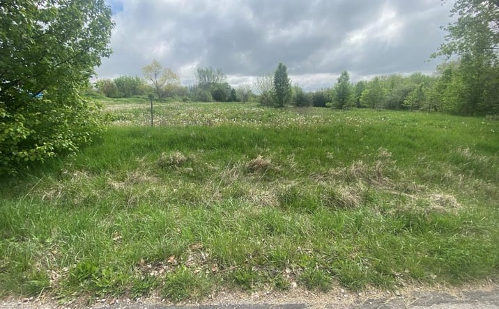 Pictures of Land, Multifamily property located at 16380 Joy Drive, Lawson, MO 64062 for sales - image #1