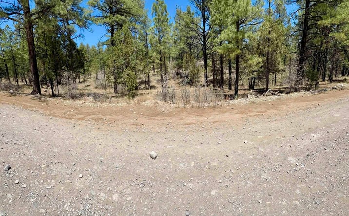 Pictures of Land property located at Lot15c Timber Drive, Timberon, NM 88350 for sales - image #1