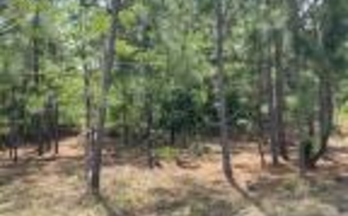 Pictures of Land property located at 00 Hutto Pond Road, Aiken, SC 29805 for sales - image #1