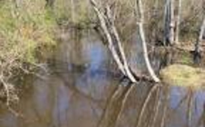 Pictures of Land property located at 2051 Galilee Road, Barnwell, SC 29812 for sales - image #1