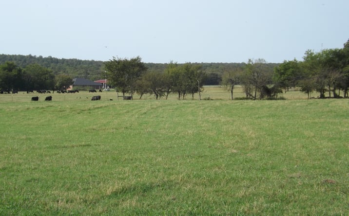 Pictures of Land property located at Rouse Rd, McAlester, OK 74501 for sales - image #1