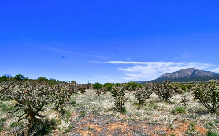 Pictures of Land property located at 201 Entranosa/ LOT 2 Road, Edgewood, NM 87015 for sales - image #1