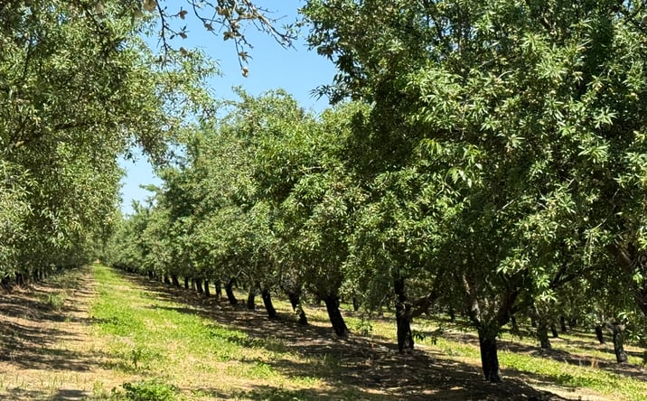 Pictures of Land property located at Sunset, Livingston, CA 95334 for sales - image #1