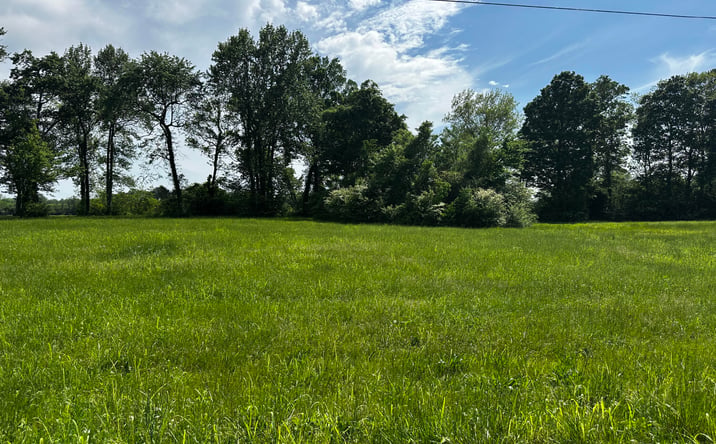 Pictures of Land, Special Purpose property located at Lot 21 Catfish Ln, Crump, TN 38327 for sales - image #1