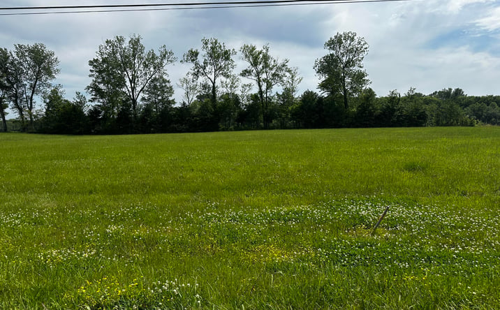 Pictures of Land property located at Lot 5 Tennessee River, Crump, TN 38327 for sales - image #1