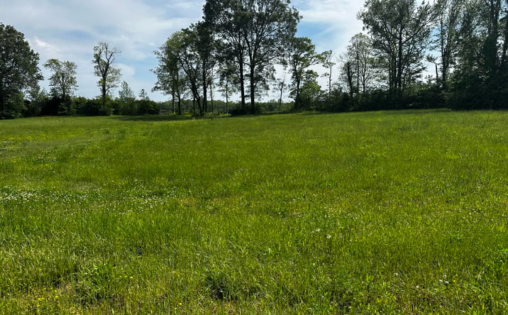 Pictures of Land property located at Lot 29 Tennessee River, Crump, TN 38327 for sales - image #1