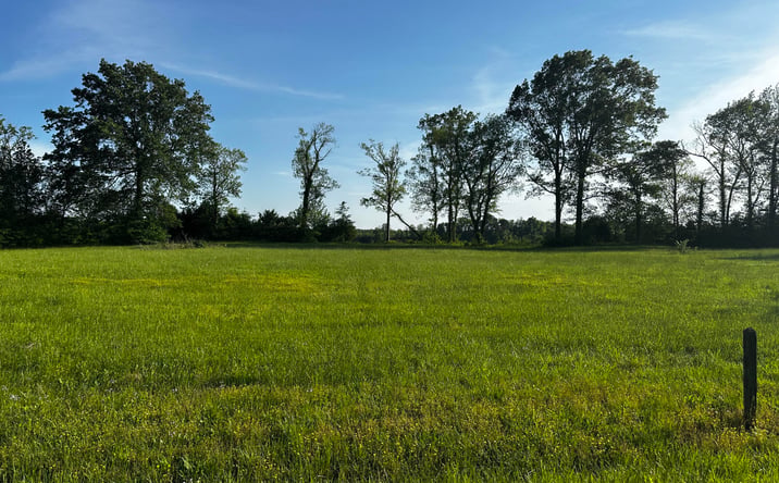 Pictures of Land property located at Lot 31 Catfish Lane, Crump, TN 38327 for sales - image #1