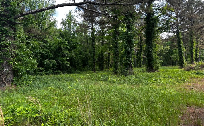 Pictures of Land property located at 0 Highway 57, Michie, TN 38357 for sales - image #1
