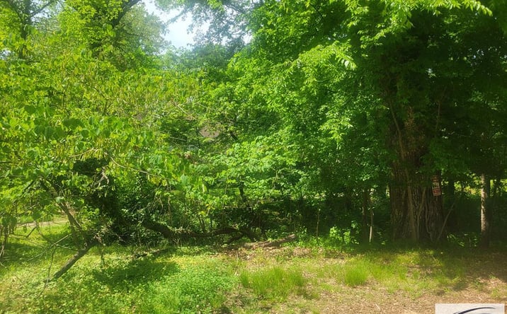 Pictures of Land property located at 00 Park, Paris, TN 38242 for sales - image #1