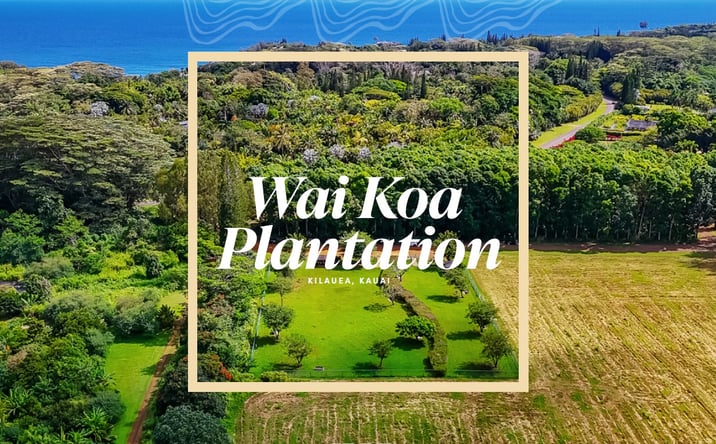 Pictures of Land property located at 5545 Kahiliholo Rd, Kilauea, HI 96754 for sales - image #1
