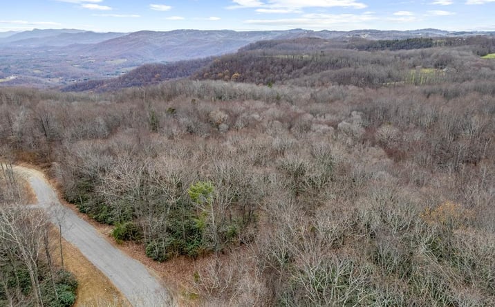 Pictures of Land, Multifamily property located at Lot 23 W Pheasant Chase, Ararat, VA 24053 for sales - image #1