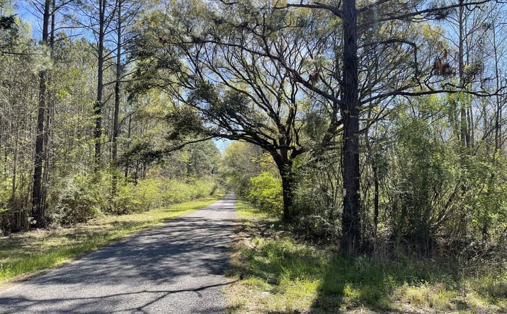 Pictures of Land property located at 0 Hib Davis Road, Lumberton, MS 39455 for sales - image #1