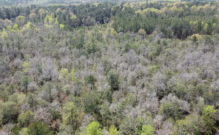 Pictures of Land property located at 0 Otho Seals Road, Lumberton, MS 39455 for sales - image #1