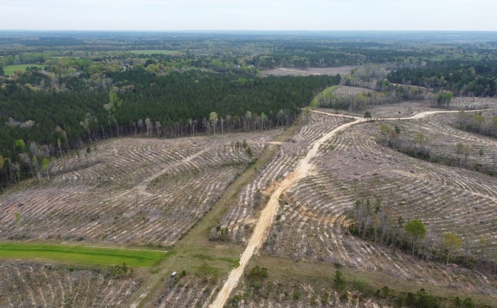 Pictures of Land property located at 0 Eastabutchie Road, Petal, MS 39465 for sales - image #1