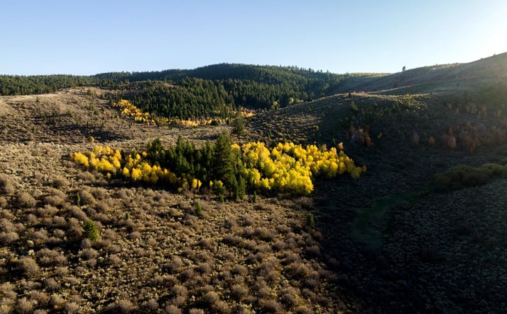 Pictures of Land property located at Tanner Ranch Montpelier, Montpelier, ID 83254 for sales - image #1