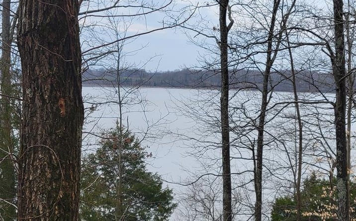 Pictures of Land property located at 00 Branch Rd, Big Sandy, TN 38221 for sales - image #1