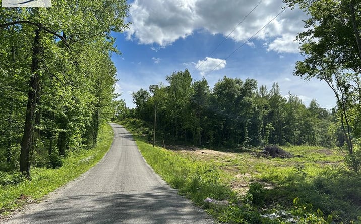 Pictures of Land, Multifamily property located at 0 Mt Zion Rd, Big Sandy, TN 38221 for sales - image #1