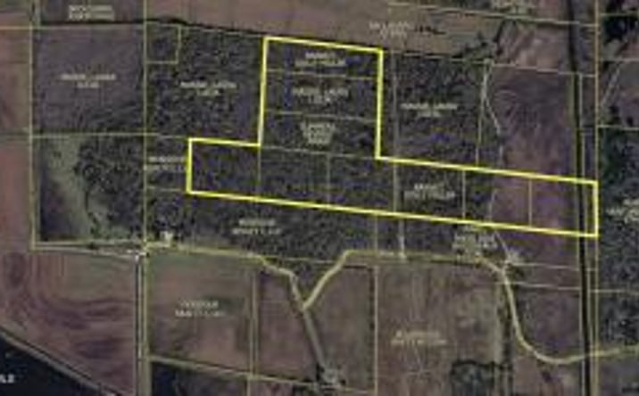 Pictures of Land property located at 001 Couvillion Road, Abbeville, LA 70510 for sales - image #1