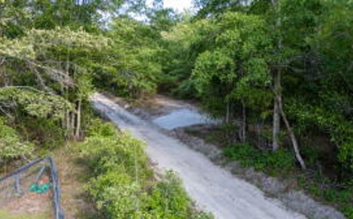 Pictures of Land property located at 0 Wasp Loop, Williston, SC 29853 for sales - image #1