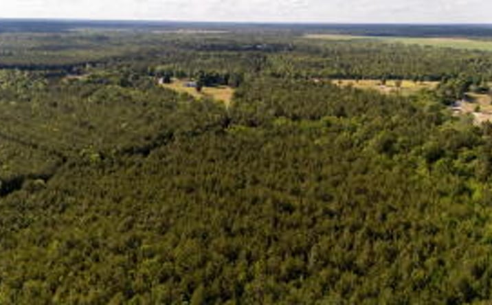 Pictures of Land property located at 0 Wasp Loop, Williston, SC 29853 for sales - image #1