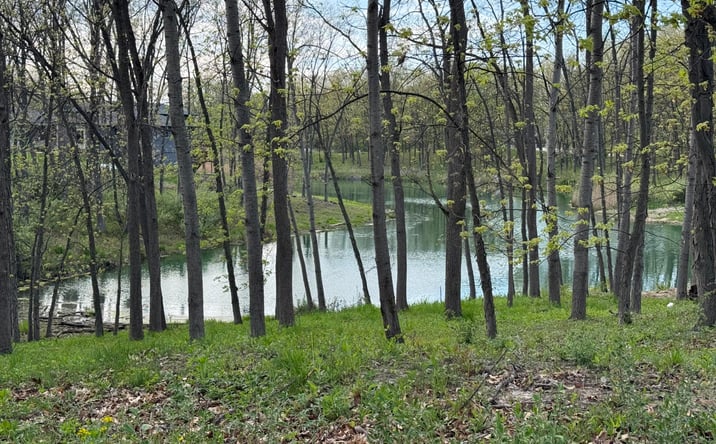Pictures of Land property located at 764 Ketill Trace, Crown Point, IN 46307 for sales - image #1