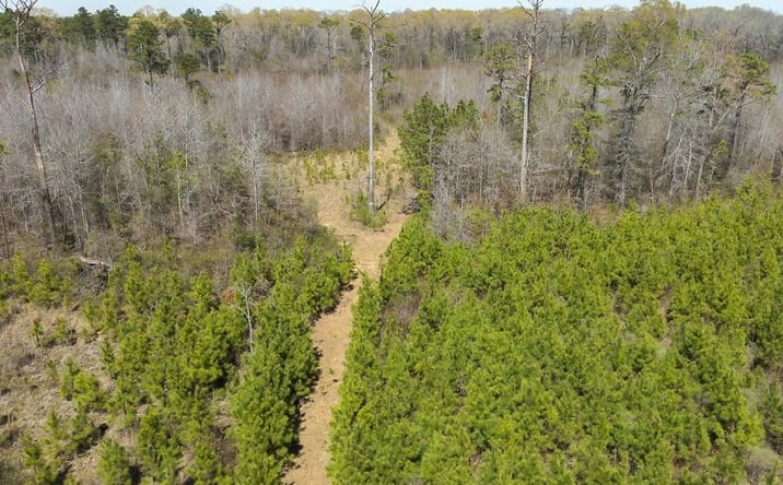 Pictures of Land property located at Lyon 40, Royal, AR 71968 for sales - image #1
