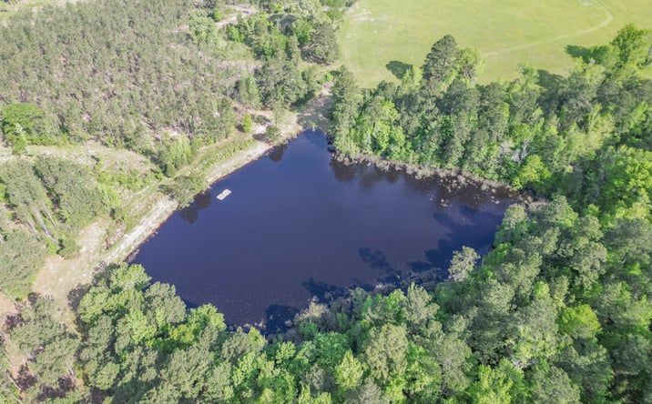 Pictures of Land property located at 148.5 ac FM 995, Atlanta, TX 75551 for sales - image #1