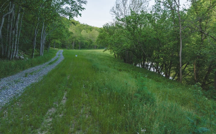 Pictures of Land property located at Lots 6-10 Big Springs Road, Eidson, TN 37731 for sales - image #1