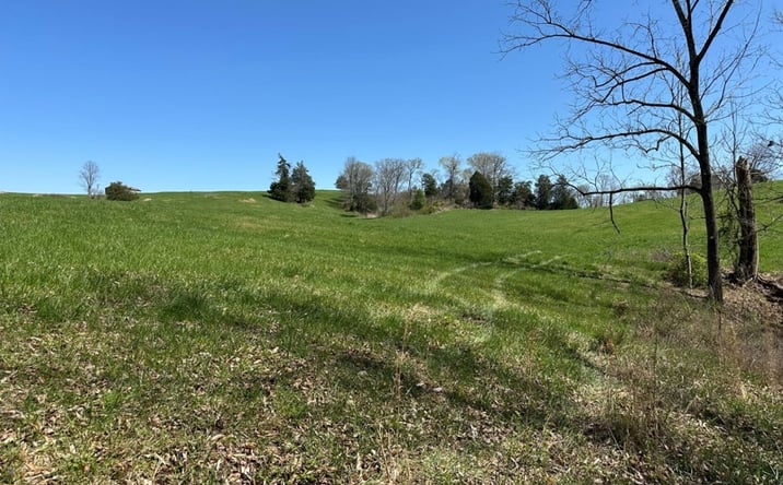 Pictures of Land property located at Tract #1 Farm on 1351, Snow, KY 42602 for sales - image #1