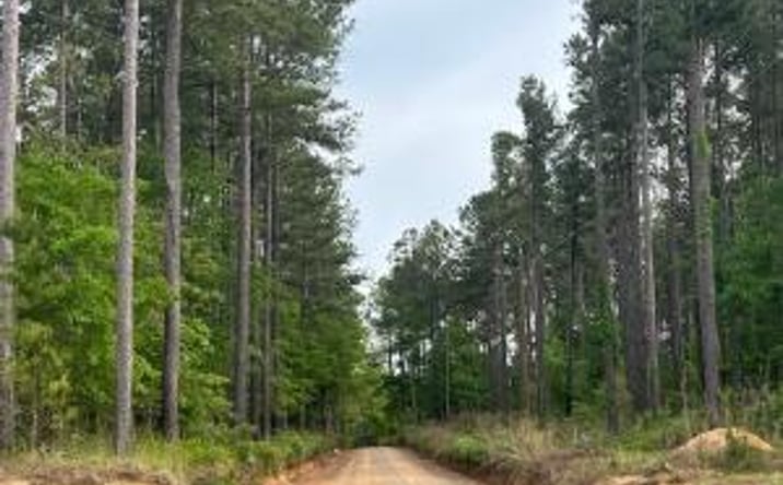 Pictures of Land property located at Fyf 4 Fox Young Street, Wagener, SC 29164 for sales - image #1