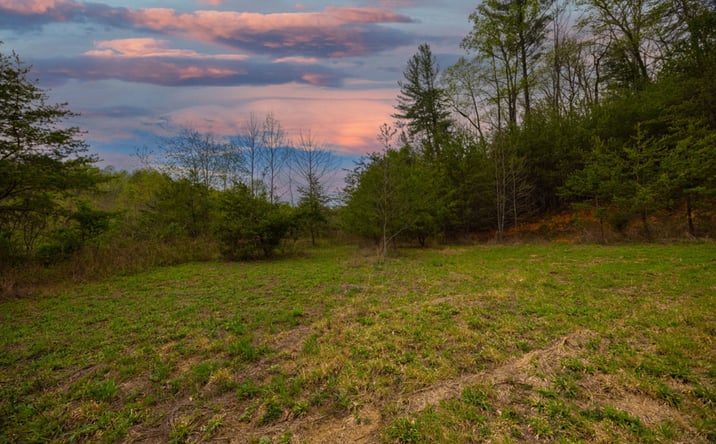 Pictures of Land property located at Lot 2 Old Vashti Rd, Taylorsville, NC 28681 for sales - image #1