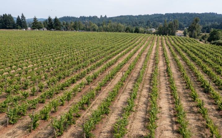 Pictures of Land property located at 0 Pioneer Rd, Dallas, OR 97338 for sales - image #1