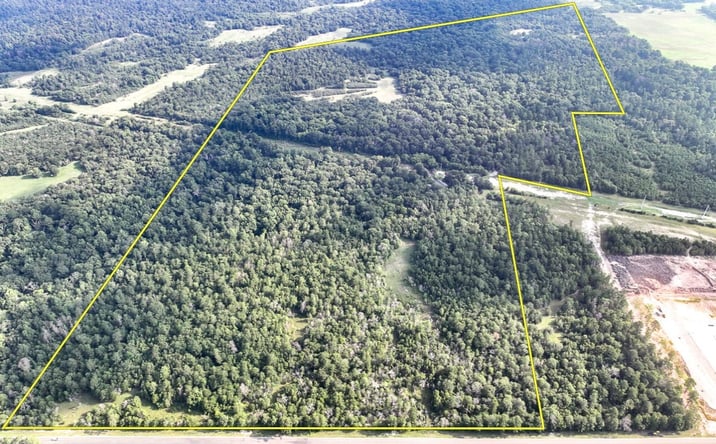 Pictures of Land property located at FM 2989, Huntsville, TX 77320 for sales - image #1