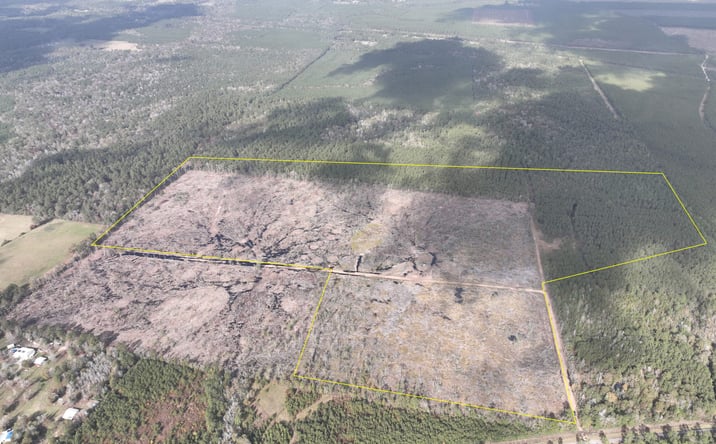 Pictures of Land property located at Old Honey Island Road, Honey Island, TX 77625 for sales - image #1