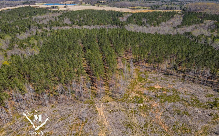 Pictures of Land property located at Asbury Rd, Pacolet, SC 29372 for sales - image #1