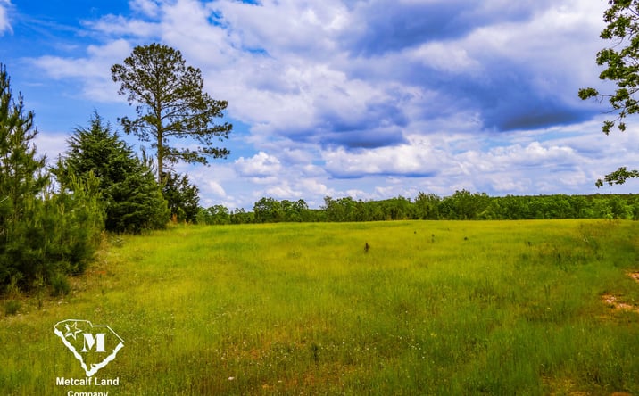 Pictures of Land property located at Battlefield Road, Enoree, SC 29335 for sales - image #1