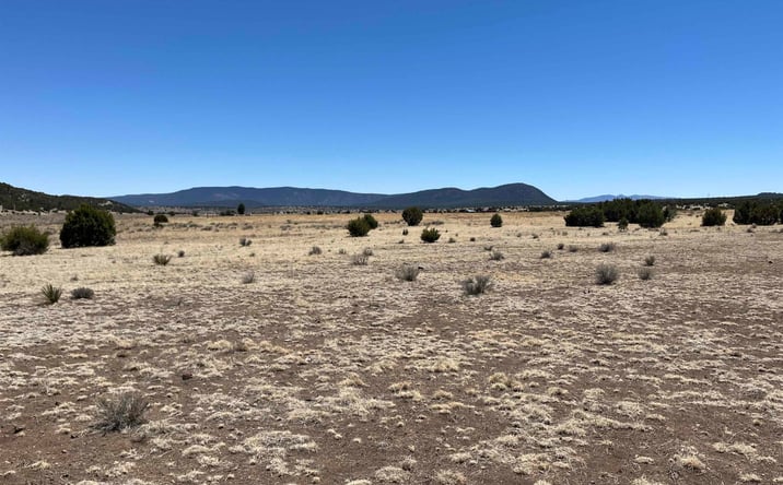Pictures of Land property located at Lot 23 Lost Cabin Subdivision, Reserve, NM 87820 for sales - image #1