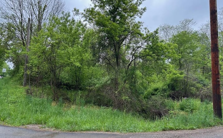 Pictures of Land property located at 0 Herring Avenue, Mansfield, OH 44906 for sales - image #1