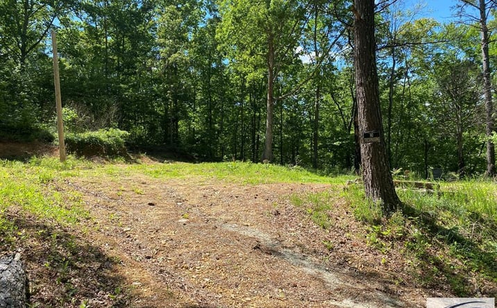 Pictures of Land property located at 31 Catfish Dr, Big Sandy, TN 38221 for sales - image #1