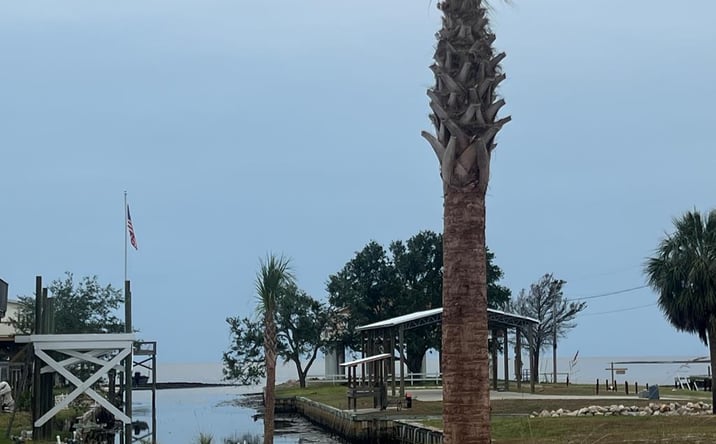 Pictures of Land property located at 68 W 4th Ave, Horseshoe Beach, FL 32648 for sales - image #1