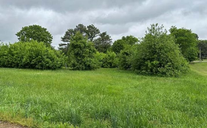Pictures of Land property located at 0 Cedar St, Trenton, KY 42286 for sales - image #1